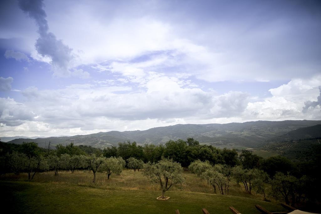 Agriturismo Panzanello Panzano in Chianti Εξωτερικό φωτογραφία